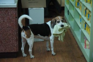 1380943897-4291366136