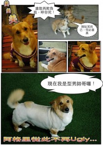 1380943900-3511500254