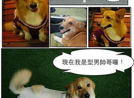 1380943900-3511500254