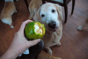 1380943937-1449391530