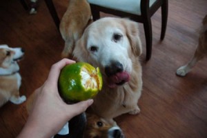 1380943937-3134398367