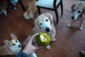 1380943938-2715944910