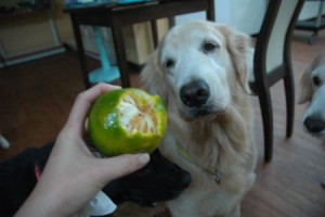 1380943938-3073593677