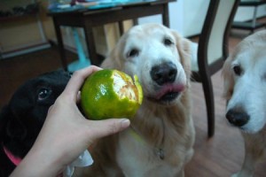 1380943939-3090604672