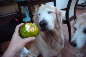 1380943940-1258558472