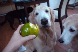 1380943940-2068576971