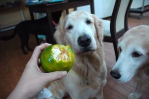 1380943941-1794357794