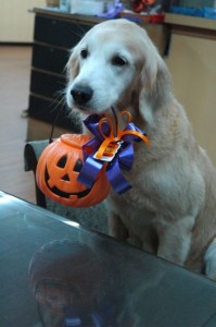 1380943942-147587970