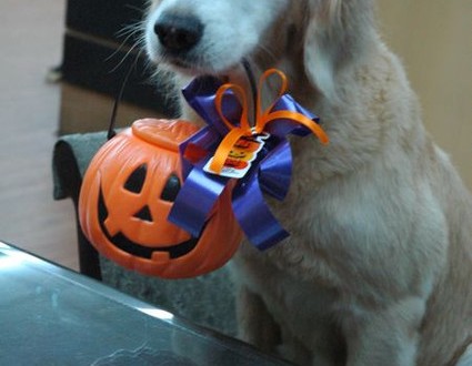 1380943942-147587970