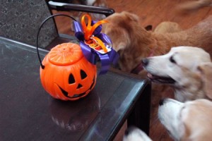 1380943943-1474827968