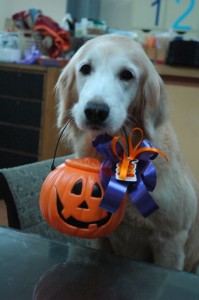 1380943943-1710985408