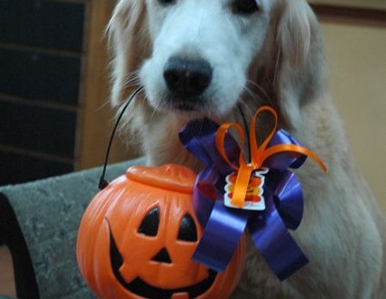 1380943943-1710985408