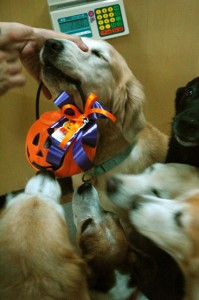 1380943943-1942607198