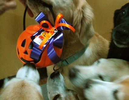 1380943943-1942607198