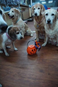 1380943944-1496598419