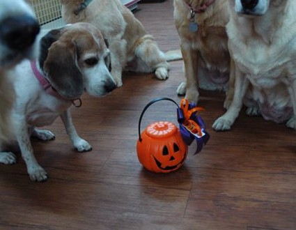 1380943944-1496598419