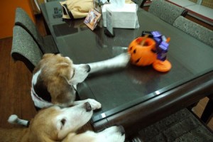 1380943944-3752835791