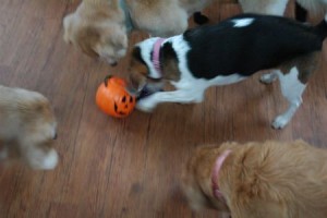 1380943945-1733956514