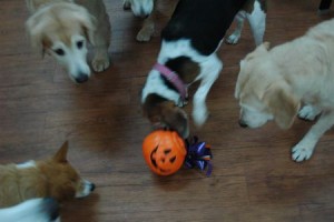 1380943945-3420791117