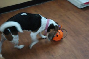 1380943946-2202860290