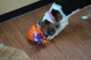 1380943946-334422694