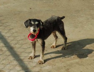 1380943953-3300148342