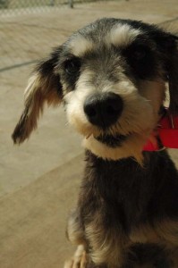 1380943953-3705267154