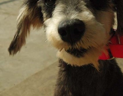 1380943953-3705267154