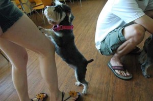 1380943954-3763206589