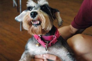 1380943955-2889902585