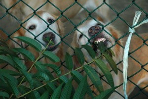 1380943961-1879724711