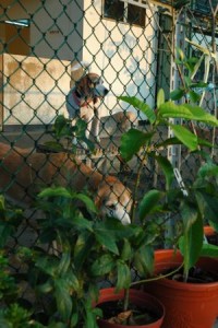 1380943961-2450280179