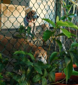 1380943961-2450280179