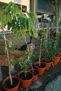 1380943962-1694677433