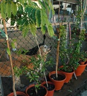 1380943962-1694677433