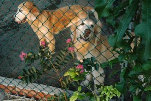 1380943962-331275818