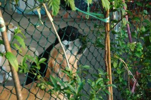 1380943962-768652191