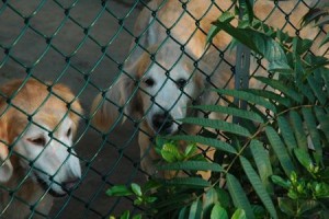 1380943964-1503885818