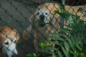 1380943964-1808244945