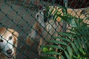 1380943964-2050613247