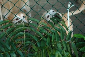 1380943965-3528428372