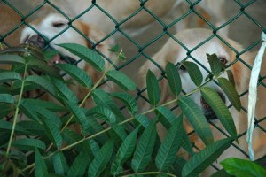 1380943966-3938251309