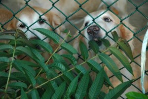 1380943966-4003425665