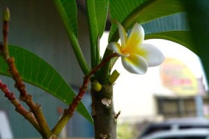 1380943967-1017568875