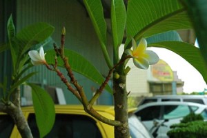 1380943967-246715602