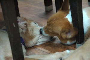 1380943968-3299643203