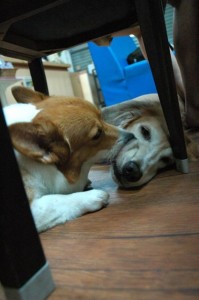 1380943968-3613744934