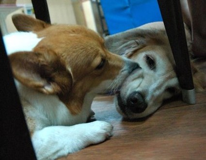 1380943968-3613744934