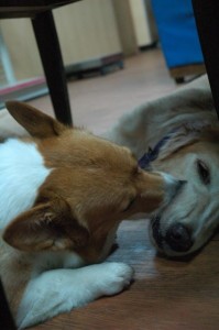 1380943968-3720125336