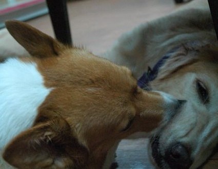 1380943968-3720125336